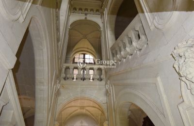 Kasteel te koop Thouars, Nouvelle-Aquitaine, Foto 4/14