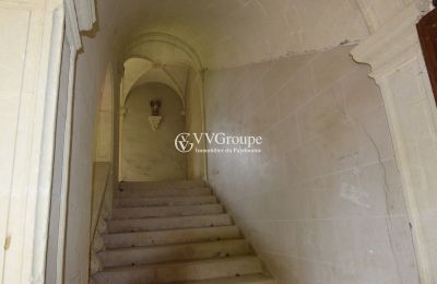 Kasteel te koop Thouars, Nouvelle-Aquitaine, Foto 5/14