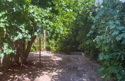 Paleis te koop Almagro, Castilla-La Mancha, Tuin