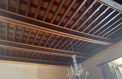 Paleis te koop Almagro, Castilla-La Mancha, Dak