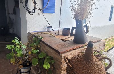 Paleis te koop Almagro, Castilla-La Mancha, Details