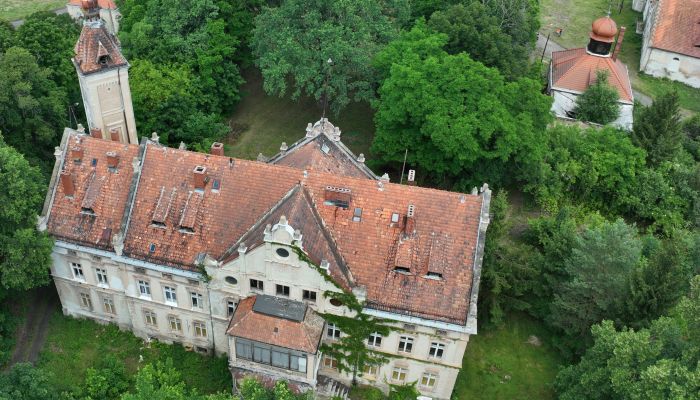Château à vendre Jędrzychów, Basse-Silésie,  Pologne