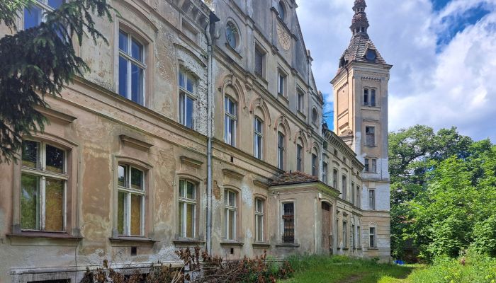  Jędrzychów 2
