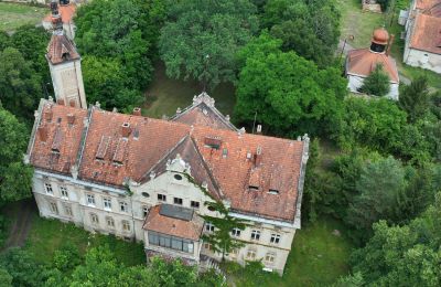 Château à vendre Jędrzychów, Pałac w Jędrzychowie, Basse-Silésie,, Photo Drone