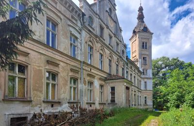 Château à vendre Jędrzychów, Pałac w Jędrzychowie, Basse-Silésie,, Vue frontale