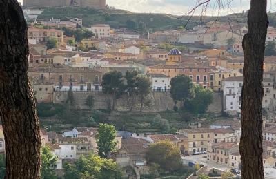 Hôtel particulier à vendre Chinchilla de Monte-Aragón, Calle Doctor Daudén  2, Castille-La Manche, view of the village from the hill