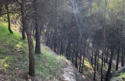 Hôtel particulier à vendre Chinchilla de Monte-Aragón, Calle Doctor Daudén  2, Castille-La Manche, surroundings landscapes