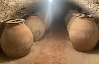 Hôtel particulier à vendre Chinchilla de Monte-Aragón, Calle Doctor Daudén  2, Castille-La Manche, Cave à vin