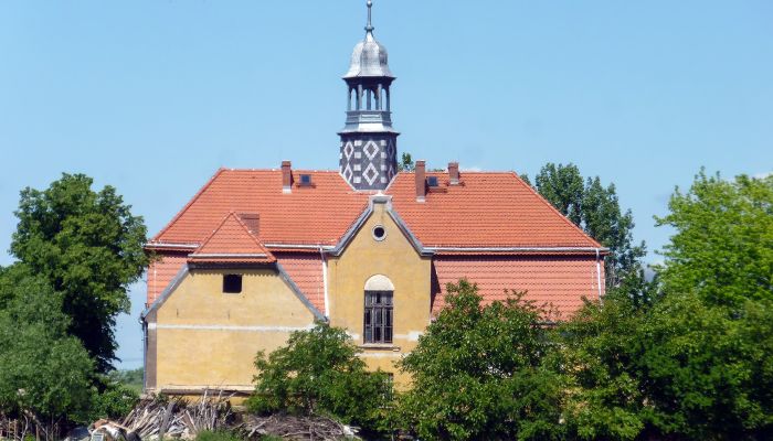 Château Tyńczyk Legnicki, Basse-Silésie