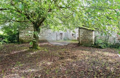 Propriété historique à vendre Nay, Nouvelle-Aquitaine, Jardin