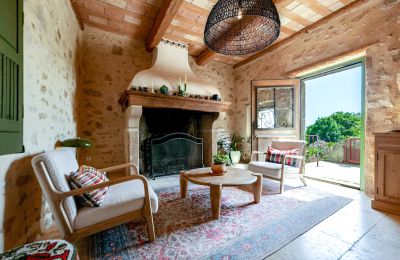 Propriété historique à vendre Uzès, Occitanie, Cheminée