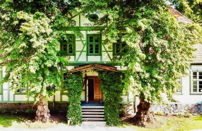 Château à vendre Neustadt-Glewe, Mecklembourg-Poméranie-Occidentale, Vue de l'arrière