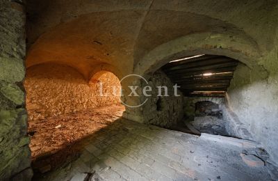 Kasteel te koop Vršovice, Zámek Vršovice, Ústecký kraj, Foto 12/35