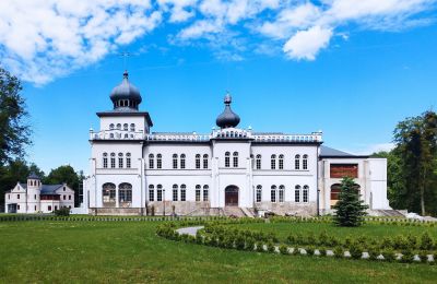 Château à vendre Osiek, Pałac w Osieku, Petite-Pologne, Vue extérieure