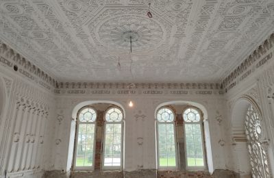 Château à vendre Osiek, Pałac w Osieku, Petite-Pologne, Image 9/38