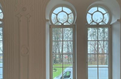 Château à vendre Osiek, Pałac w Osieku, Petite-Pologne, Image 11/38