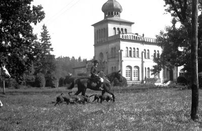 Château à vendre Osiek, Pałac w Osieku, Petite-Pologne, Vue historique