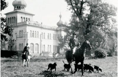 Château à vendre Osiek, Pałac w Osieku, Petite-Pologne, Vue historique