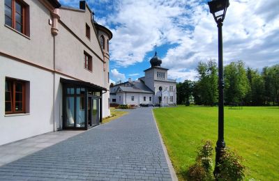 Château à vendre Osiek, Pałac w Osieku, Petite-Pologne, Image 21/38