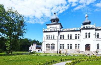 Château à vendre Osiek, Pałac w Osieku, Petite-Pologne, Image 27/38