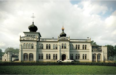 Château à vendre Osiek, Pałac w Osieku, Petite-Pologne, Visualisation