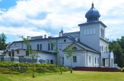 Château à vendre Osiek, Pałac w Osieku, Petite-Pologne, Image 15/38