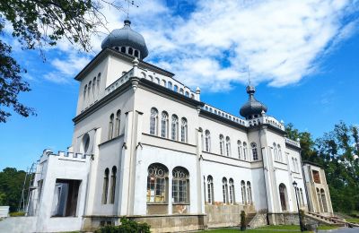 Château à vendre Osiek, Pałac w Osieku, Petite-Pologne, Image 25/38