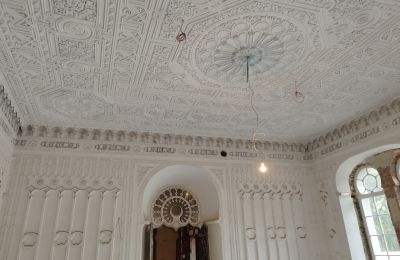 Château à vendre Osiek, Pałac w Osieku, Petite-Pologne, Image 10/38