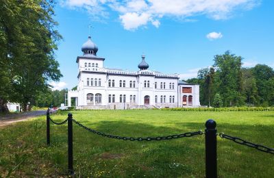 Château à vendre Osiek, Pałac w Osieku, Petite-Pologne, Pałac w Osieku