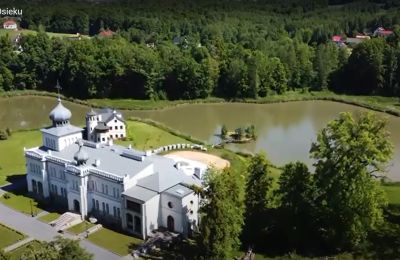 Château à vendre Osiek, Pałac w Osieku, Petite-Pologne, Image 38/38