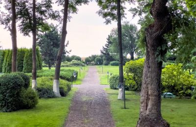 Manoir à vendre Cujavie-Poméranie, Jardin