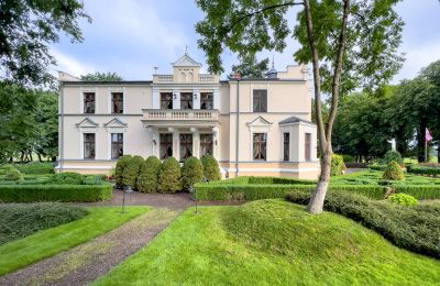 Manoir à vendre Cujavie-Poméranie, Vue de l'arrière