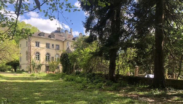 Château à vendre Pontacq, Nouvelle-Aquitaine,  France