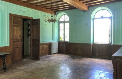Château à vendre Pontacq, Nouvelle-Aquitaine, Salle de séjour