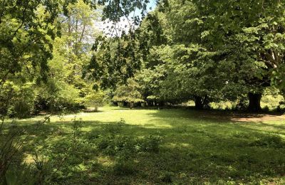 Château à vendre Pontacq, Nouvelle-Aquitaine, Parc