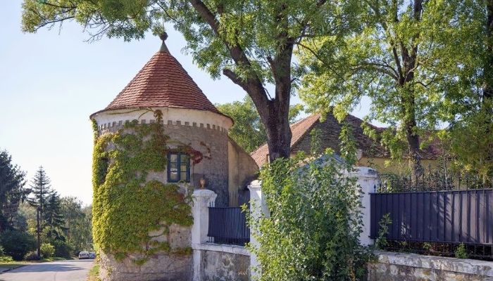 Manoir à vendre Trnavský kraj, okres Hlohovec, Koplotovce,  Slovaquie
