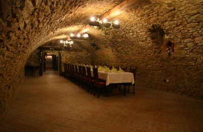 Manoir à vendre Trnavský kraj, okres Hlohovec, Koplotovce, Frídeský kaštieľ, Région de Trnava, Image 17/31