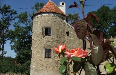 Manoir à vendre Trnavský kraj, okres Hlohovec, Koplotovce, Frídeský kaštieľ, Région de Trnava, Image 3/31