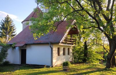 Manoir à vendre Trnavský kraj, okres Hlohovec, Koplotovce, Frídeský kaštieľ, Région de Trnava, Dépendance