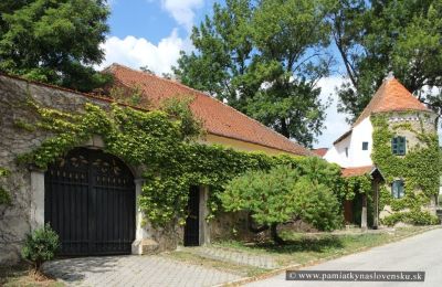 Manoir à vendre Trnavský kraj, okres Hlohovec, Koplotovce, Frídeský kaštieľ, Région de Trnava, Porte
