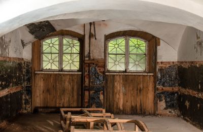 Manoir à vendre Virķēni, Virķēnu muiža, Vidzeme, Cave