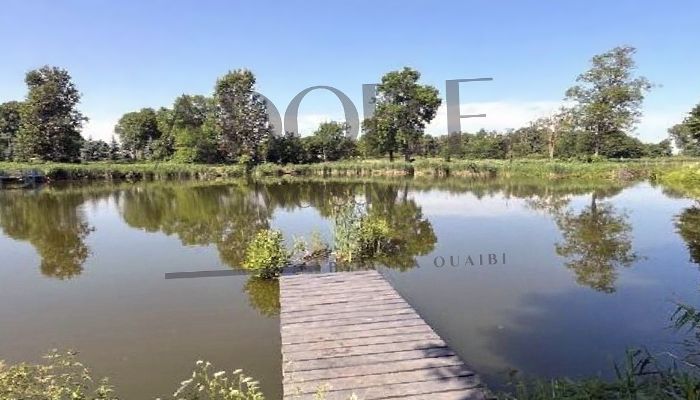 Manoir à vendre Mińsk Mazowiecki, Mazovie,  Pologne