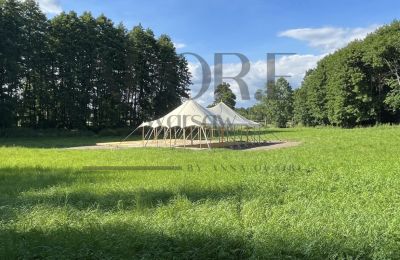 Manoir à vendre Mińsk Mazowiecki, Mazovie, Image 4/12