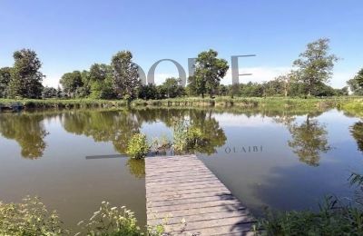 Manoir à vendre Mińsk Mazowiecki, Mazovie, Image 1/12