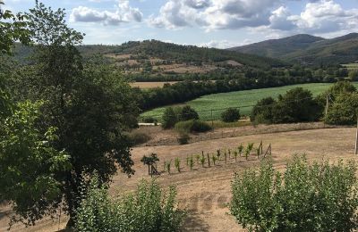 Historische villa te koop 06019 Umbertide, Umbria, Foto 21/22