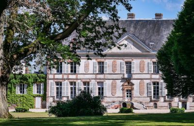 Château Sens, Bourgogne-Franche-Comté