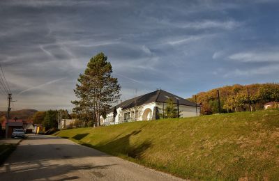 Landhuis te koop Trenčiansky kraj, okres Trenčín, Melčice - Lieskové, Melčice, Západné Slovensko, Foto 9/27