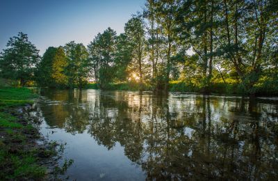 Landhuis te koop Krzyż Wielkopolski, Groot-Polen, Foto 9/20
