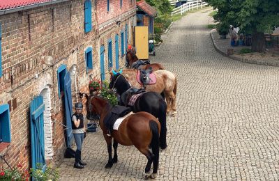Landhuis te koop Krzyż Wielkopolski, Groot-Polen, Foto 13/20
