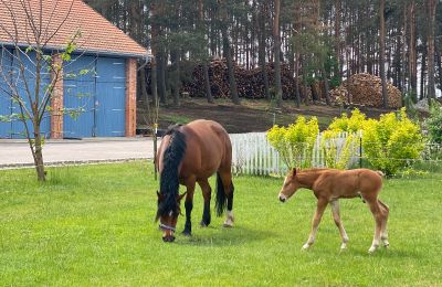 Landhuis te koop Krzyż Wielkopolski, Groot-Polen, Foto 14/20